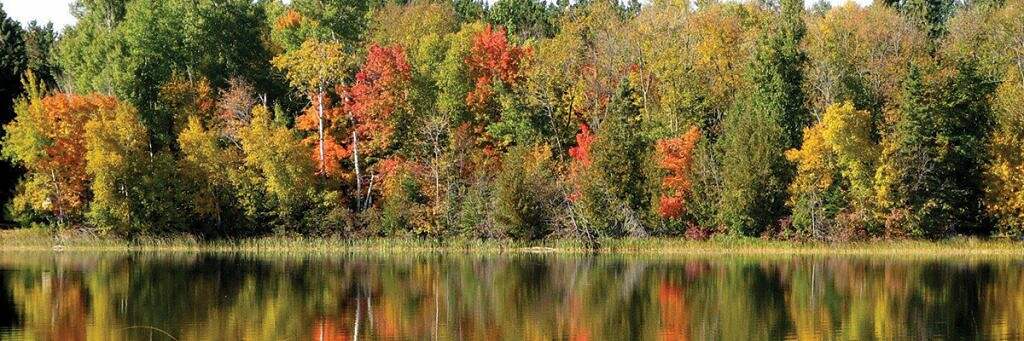Itasca County fall color tours