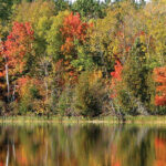 fall colors getaway at Wildwood Resort in Grand Rapids, Minnesota