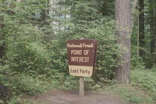 Lost Forty in Itasca County near Grand Rapids, MN